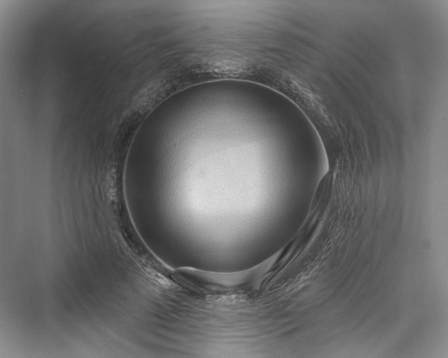 X0000076220833200610051105