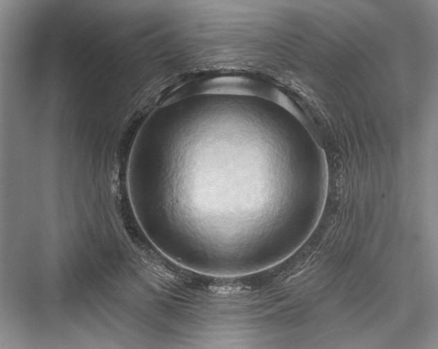 X0000076220837200610051105