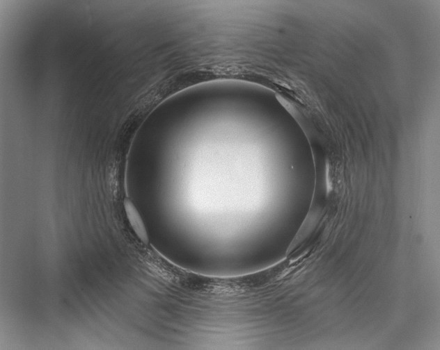 X0000076220841200610051105