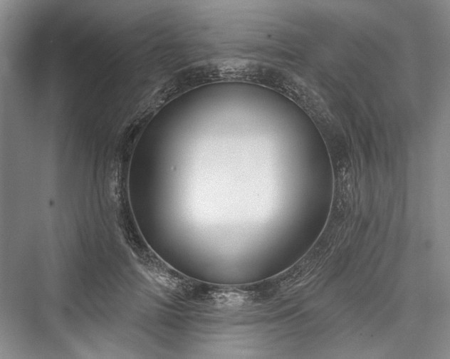 X0000076220842200610051105