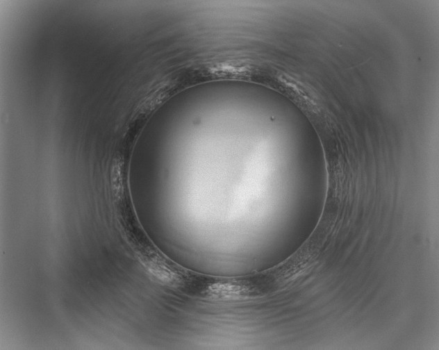 X0000076220843200610051105