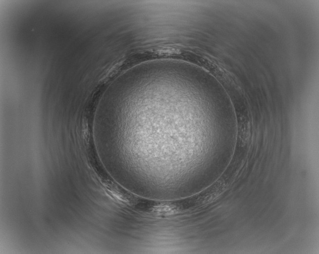 X0000076220848200610051105