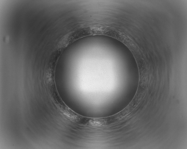 X0000076220850200610051105