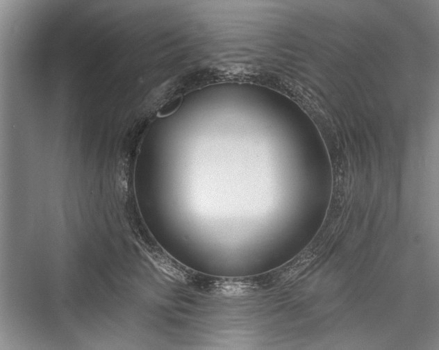 X0000076220854200610051105