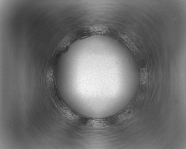 X0000076220857200610051105