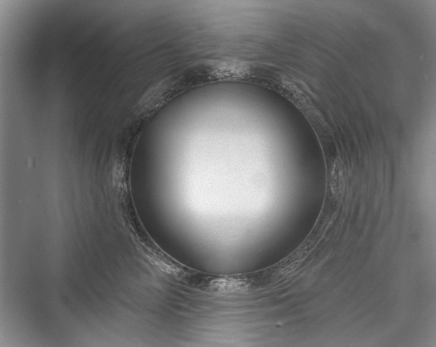 X0000076220858200610051105