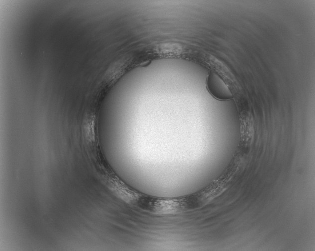 X0000076220861200610051105