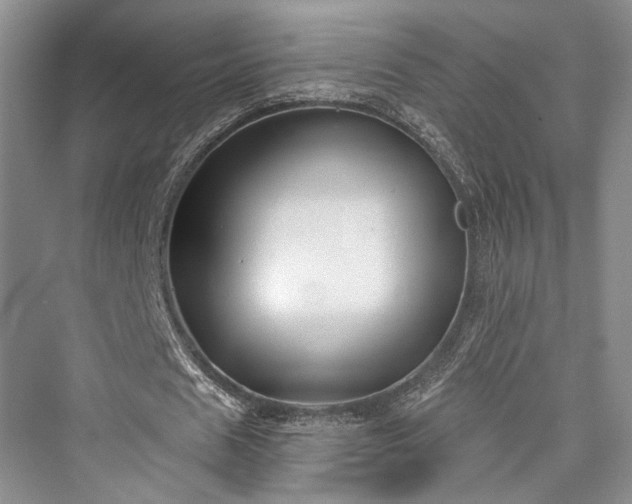 X0000076220865200610051106