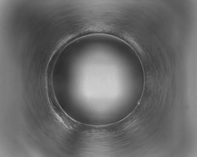 X0000076220866200610051106