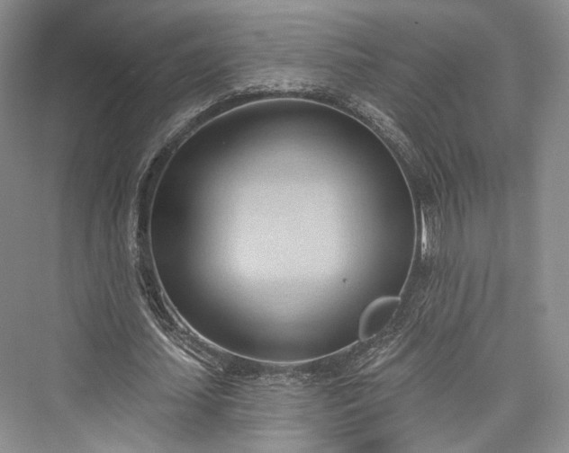 X0000076220867200610051106