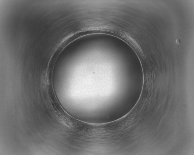 X0000076220868200610051106