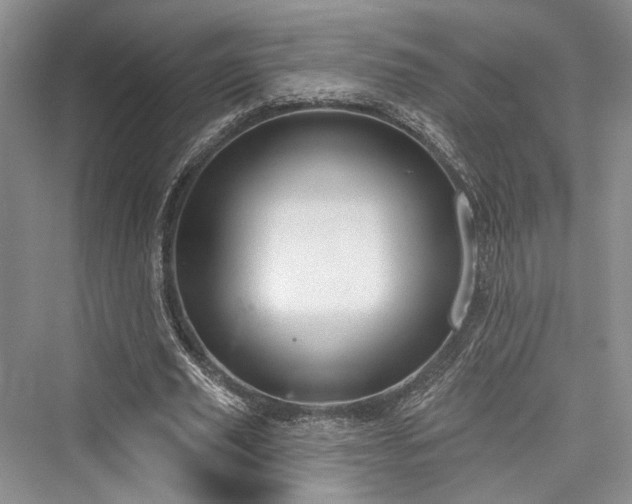 X0000076220869200610051106