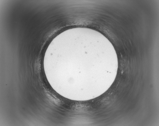 X0000076220872200610051106