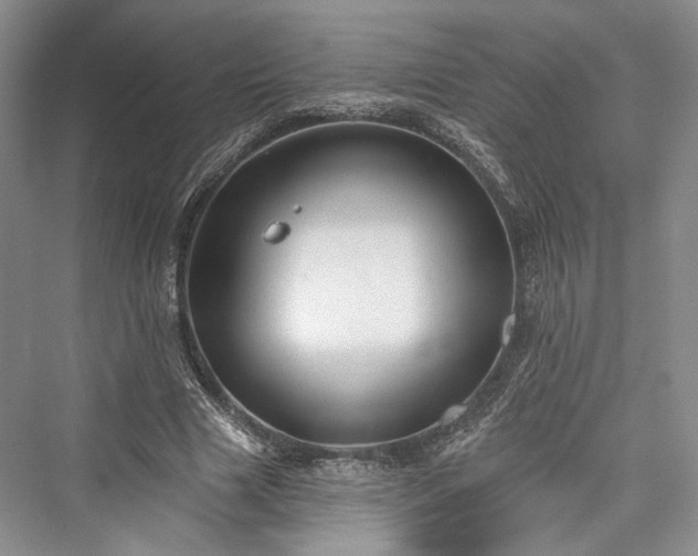 X0000076220873200610051106