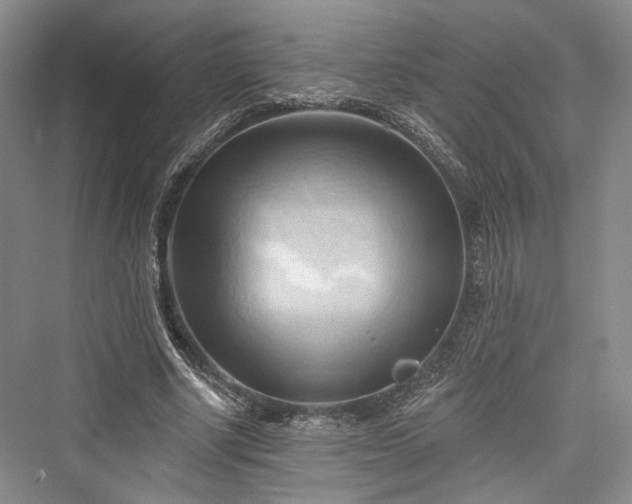 X0000076220874200610051106