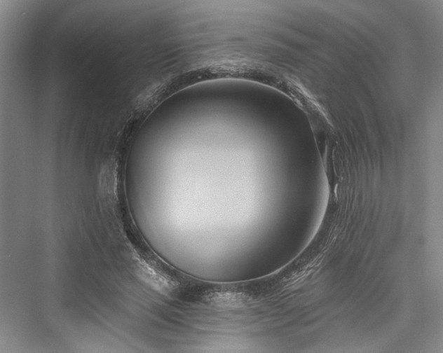 X0000076220877200610051106