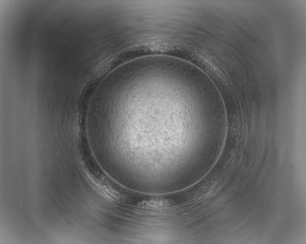 X0000076220879200610051106