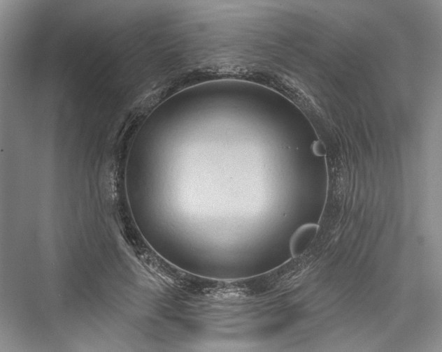 X0000076220883200610051106