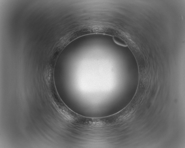 X0000076220885200610051106