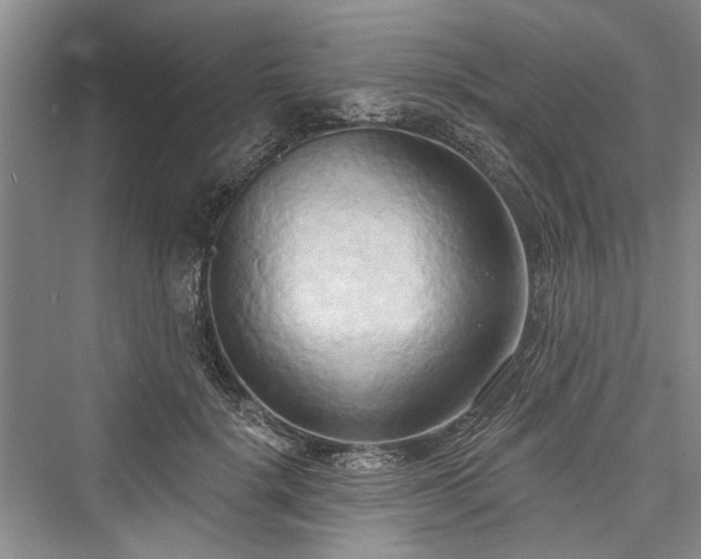 X0000076220892200610051106