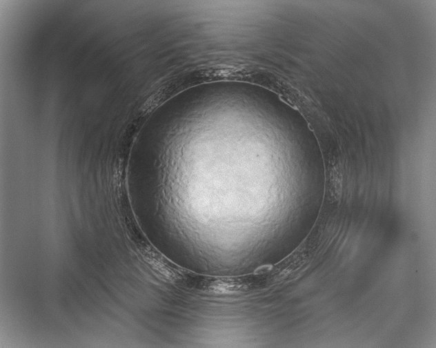 X0000076220897200610051106