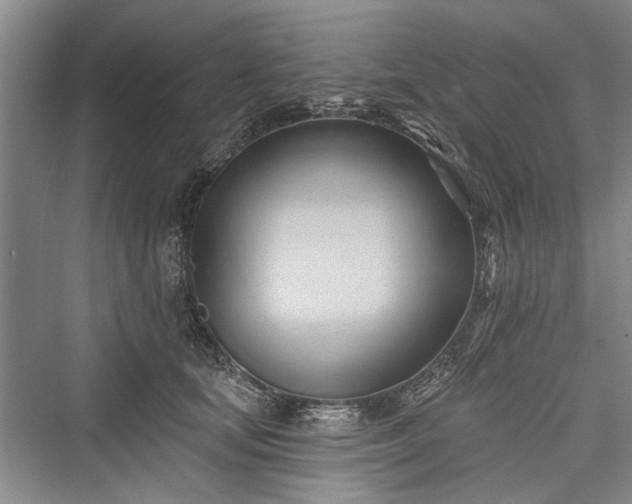 X0000076220899200610051106