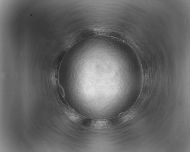 X0000076220911200610051106