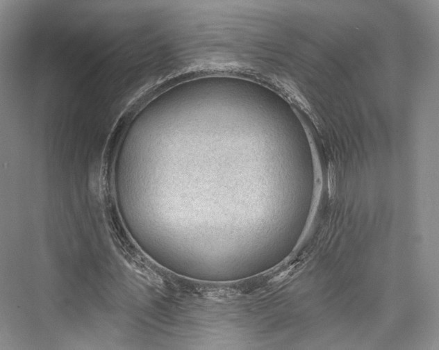 X0000076220915200610051107
