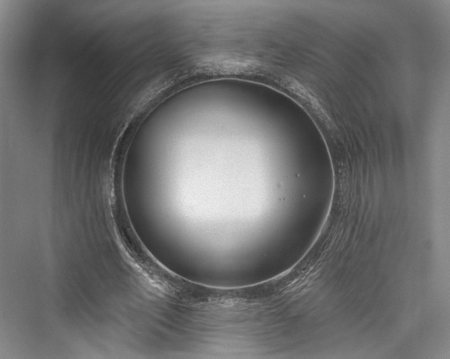 X0000076220918200610051107
