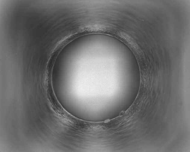 X0000076220919200610051107