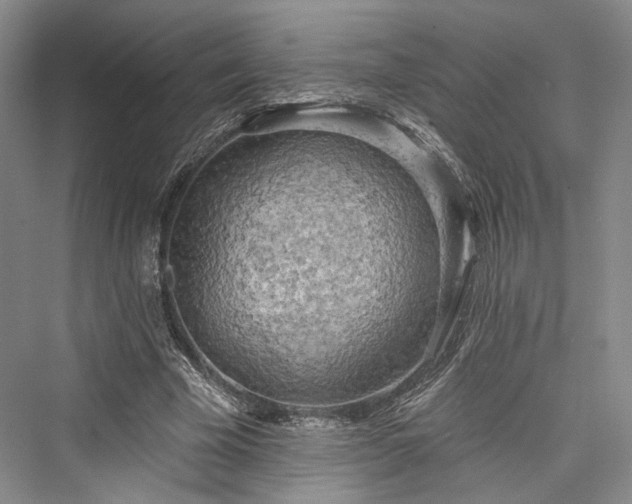 X0000076220921200610051107