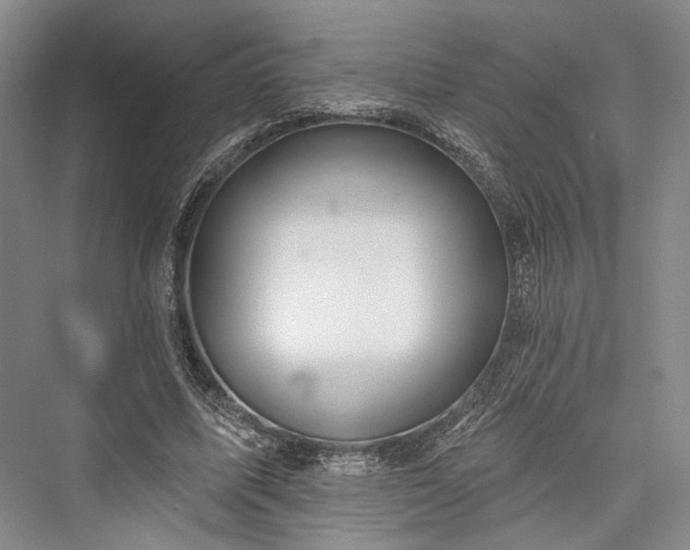 X0000076220923200610051107