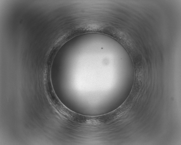 X0000076220927200610051107