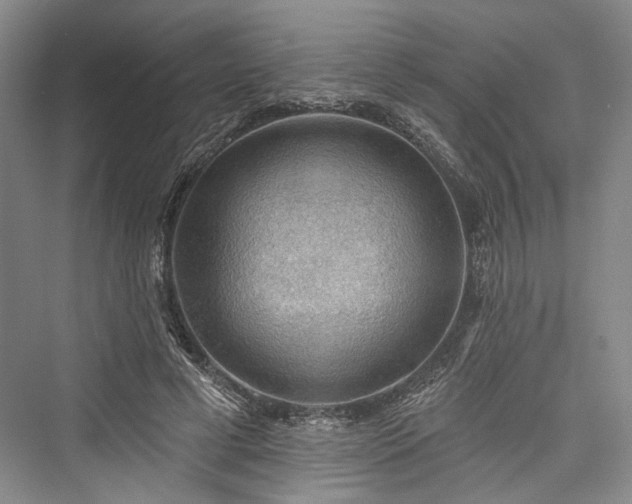 X0000076220929200610051107