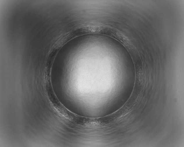 X0000076220930200610051107