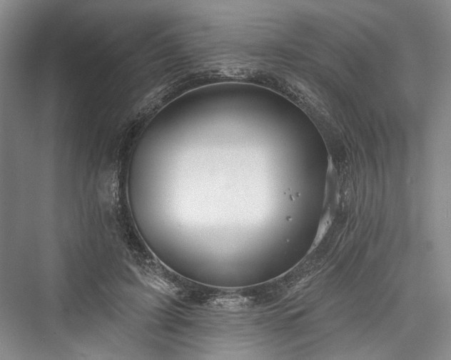 X0000076220931200610051107