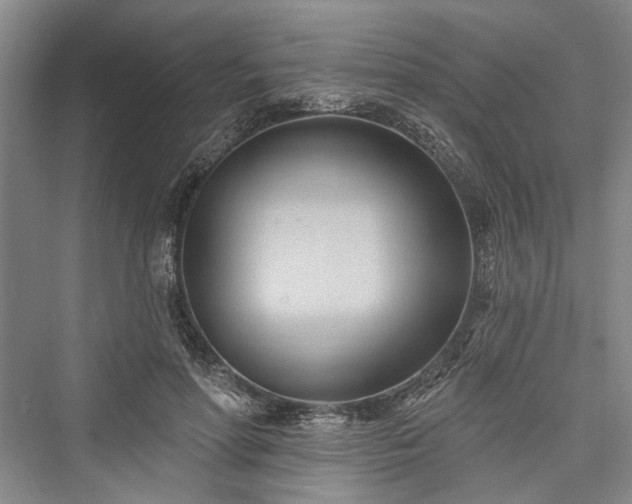 X0000076220934200610051107