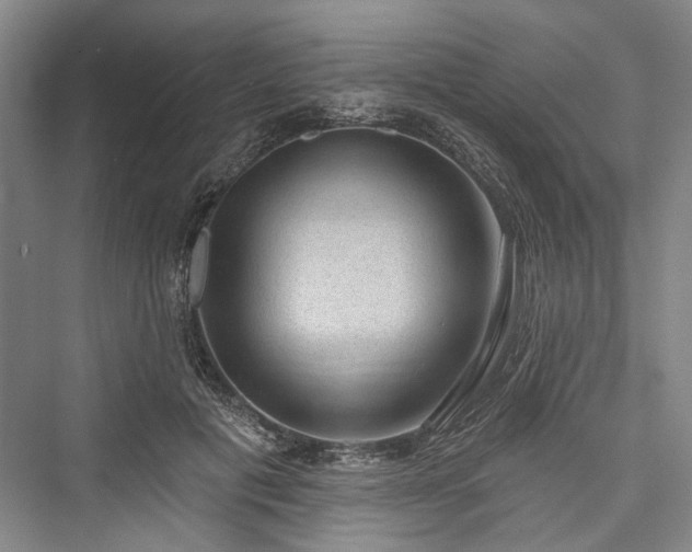 X0000076220937200610051107