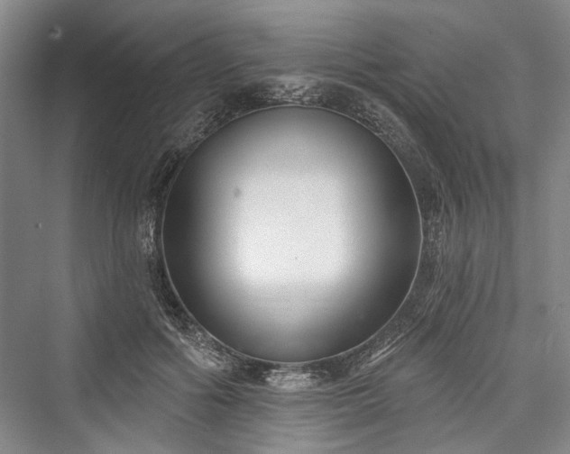 X0000076220938200610051107