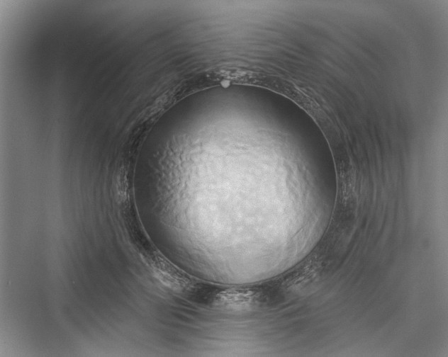 X0000076220942200610051107