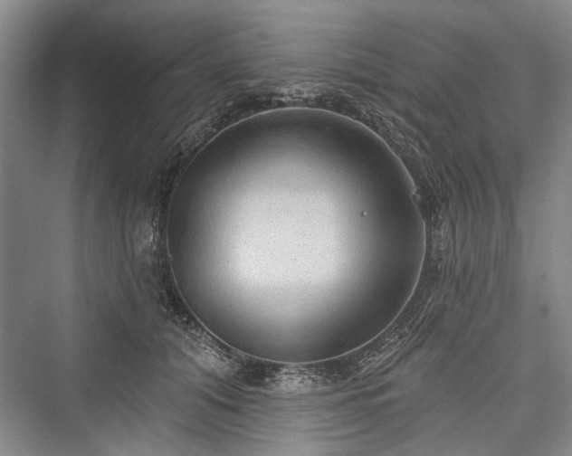 X0000076220944200610051107