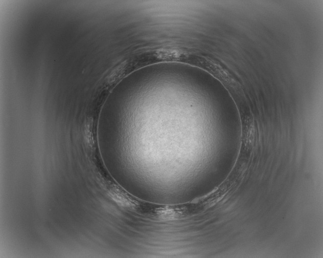 X0000076220952200610051106