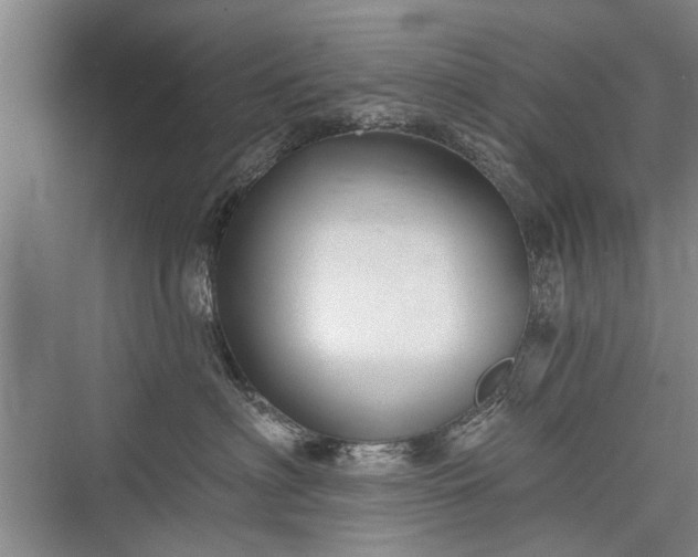 X0000076220958200610051106