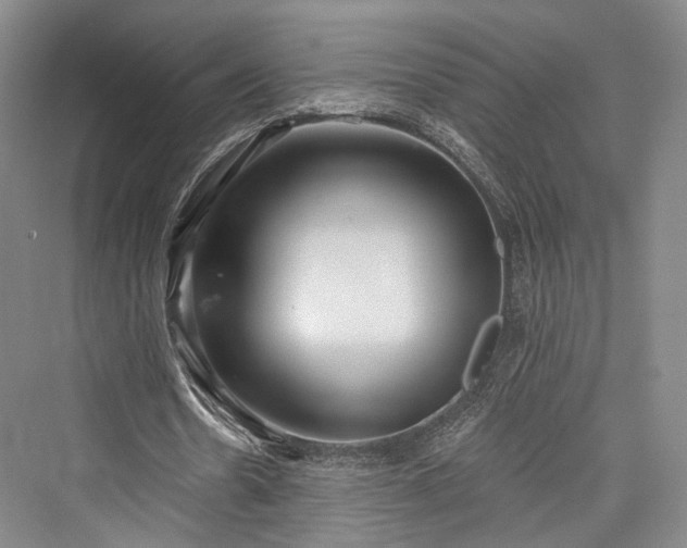 X0000076220962200610051107