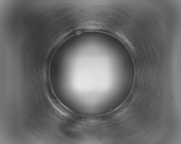 X0000076220965200610051107