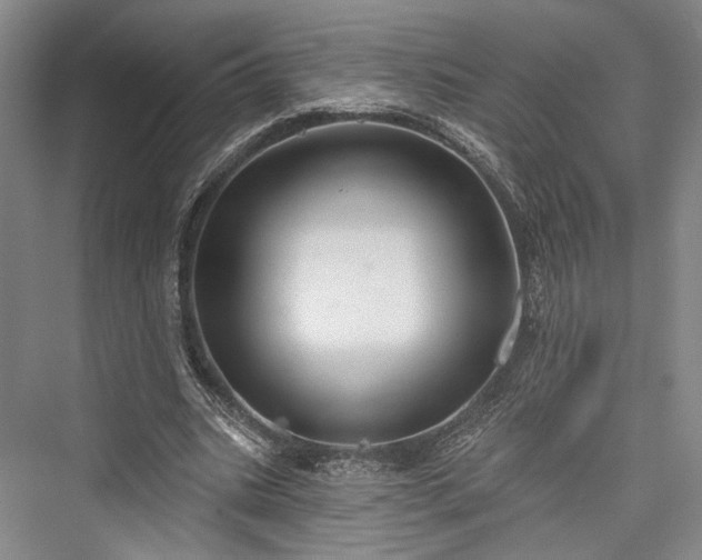 X0000076220967200610051107