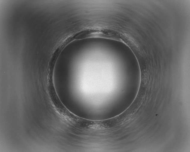X0000076220976200610051107