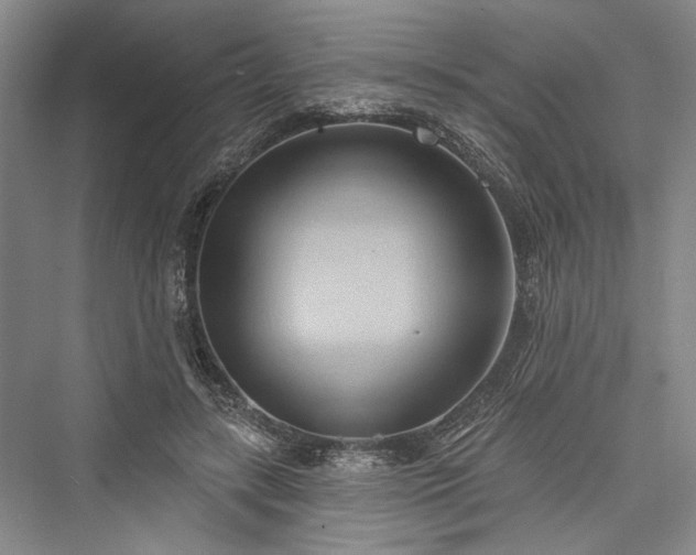 X0000076220979200610051107