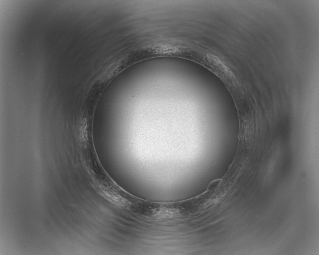 X0000076220981200610051107