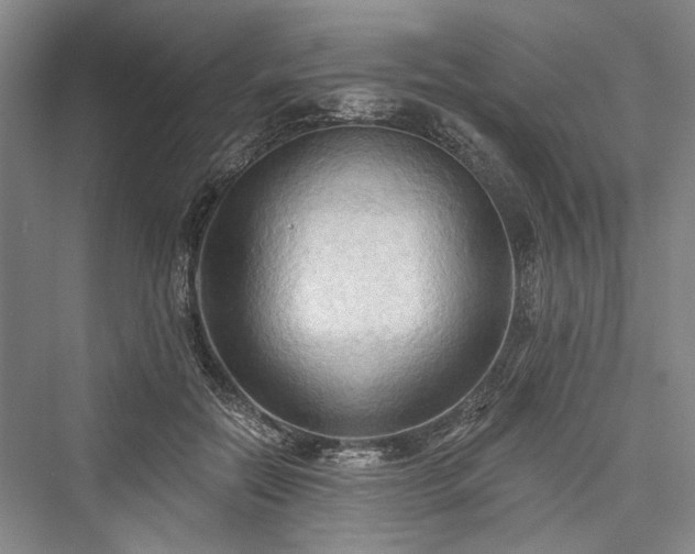 X0000076220986200610051108
